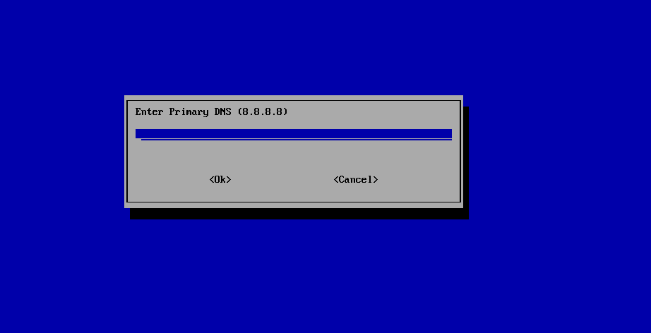 Primary DNS
