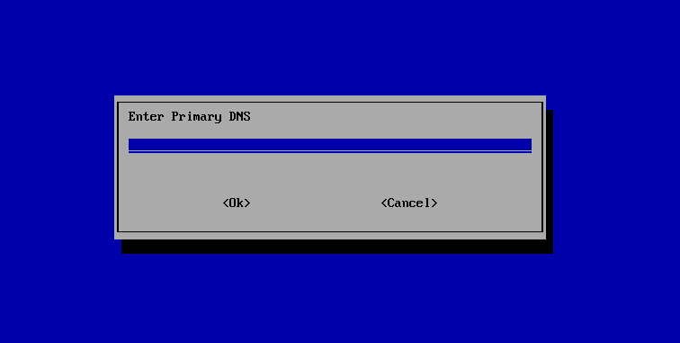 Static primary DNS