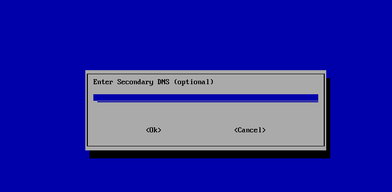 Static secondary DNS