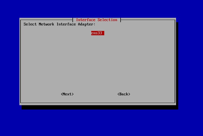 Network interface adapter selection