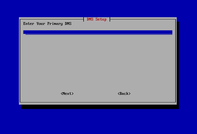 Primary DNS configuration